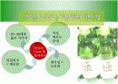 처음처럼 마케팅사례분석 19페이지