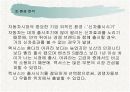 렉서스(LEXUS) 마케팅분석과 한국진출사례분석 9페이지