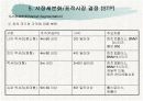 렉서스(LEXUS) 마케팅분석과 한국진출사례분석 13페이지