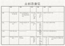 렉서스(LEXUS) 마케팅분석과 한국진출사례분석 15페이지
