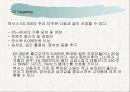 렉서스(LEXUS) 마케팅분석과 한국진출사례분석 29페이지