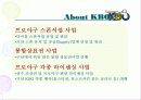 2006한국프로야구 SWOT/SPT/4P 분석 11페이지