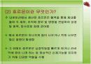 환경호르몬(내분비계 장애물질) 4페이지