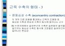 근력과 지구력, 근파워의 회복 7페이지