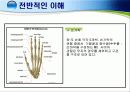 손목 · 손 · 손가락 손상의 재활 5페이지
