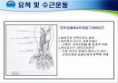 손목 · 손 · 손가락 손상의 재활 7페이지