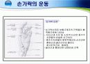 손목 · 손 · 손가락 손상의 재활 13페이지