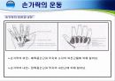 손목 · 손 · 손가락 손상의 재활 14페이지