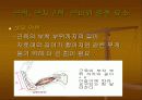 근력과 근지구력, 근파워의 회복 15페이지