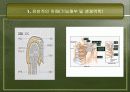 견관절 손상의 재활 6페이지