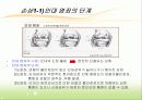인간과 스포츠 의학 - 치유과정 8페이지
