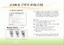 인간과 스포츠 의학 - 치유과정 16페이지
