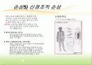 인간과 스포츠 의학 - 치유과정 19페이지