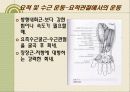 손목, 손, 손가락, 손상의 재활 6페이지