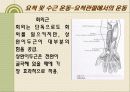 손목, 손, 손가락, 손상의 재활 7페이지