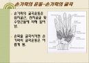 손목, 손, 손가락, 손상의 재활 10페이지