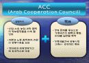 ACC(아랍협력회의) 5페이지