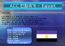 ACC(아랍협력회의) 10페이지
