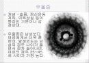 지역사회간호-방문간호 관절염 케이스 14페이지
