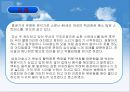 (건강문제와 간호) 감각 / 지각 변화 13페이지