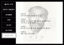 도산 안창호의 교육사상 11페이지