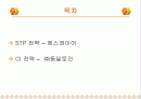 STP전략의 사례와 CI전략의 사례 2페이지
