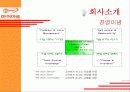 하이마트 광고 마케팅 분석 3페이지