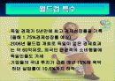 독일의 경제 20페이지