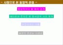 한용운과 타고르의 영향관계 7페이지