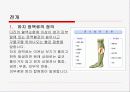  건강하고 아름다운 다리를 지키자 14페이지
