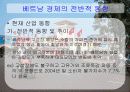 베트남의 경제 16페이지