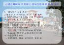 베트남의 경제 23페이지