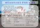 베트남의 경제 35페이지