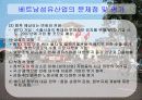 베트남의 경제 37페이지