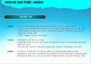 인터넷과 여론 (Internet and Public opinion) 5페이지