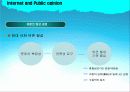 인터넷과 여론 (Internet and Public opinion) 9페이지
