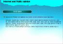 인터넷과 여론 (Internet and Public opinion) 14페이지