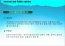 인터넷과 여론 (Internet and Public opinion) 16페이지