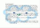 영아 중심 프로그램 34페이지