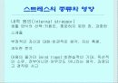 스트레스와 식생활 7페이지
