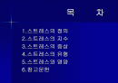 스트레스와 건강 2페이지
