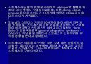 스트레스와 건강 4페이지