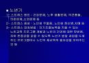 스트레스와 건강 19페이지