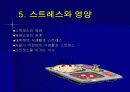 스트레스와 건강 25페이지