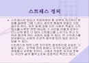 스트레스 3페이지