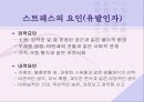 스트레스 5페이지