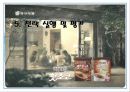 기업 전략경영 사례 - 동서식품 16페이지