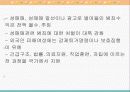 사회문제론 - 성매매에 대하여 18페이지
