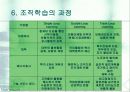 (조직행동론)18장 조직학습과 창의력 개발 17페이지