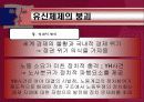 5.16 군사쿠데타와 군부정권 16페이지